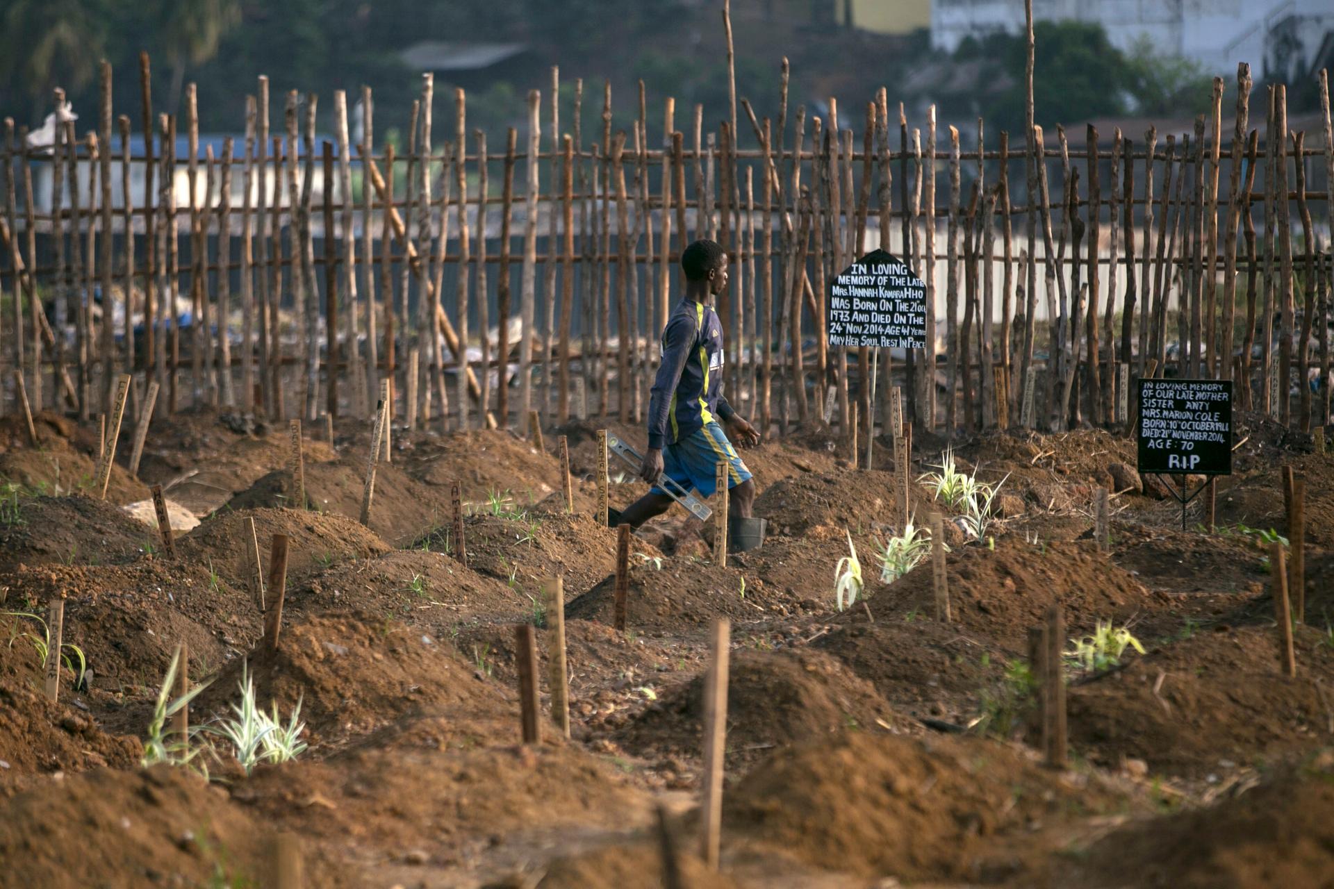 A grave digger walks past fresh graves at a cemetery in Freetown, Sierra Leone. 
