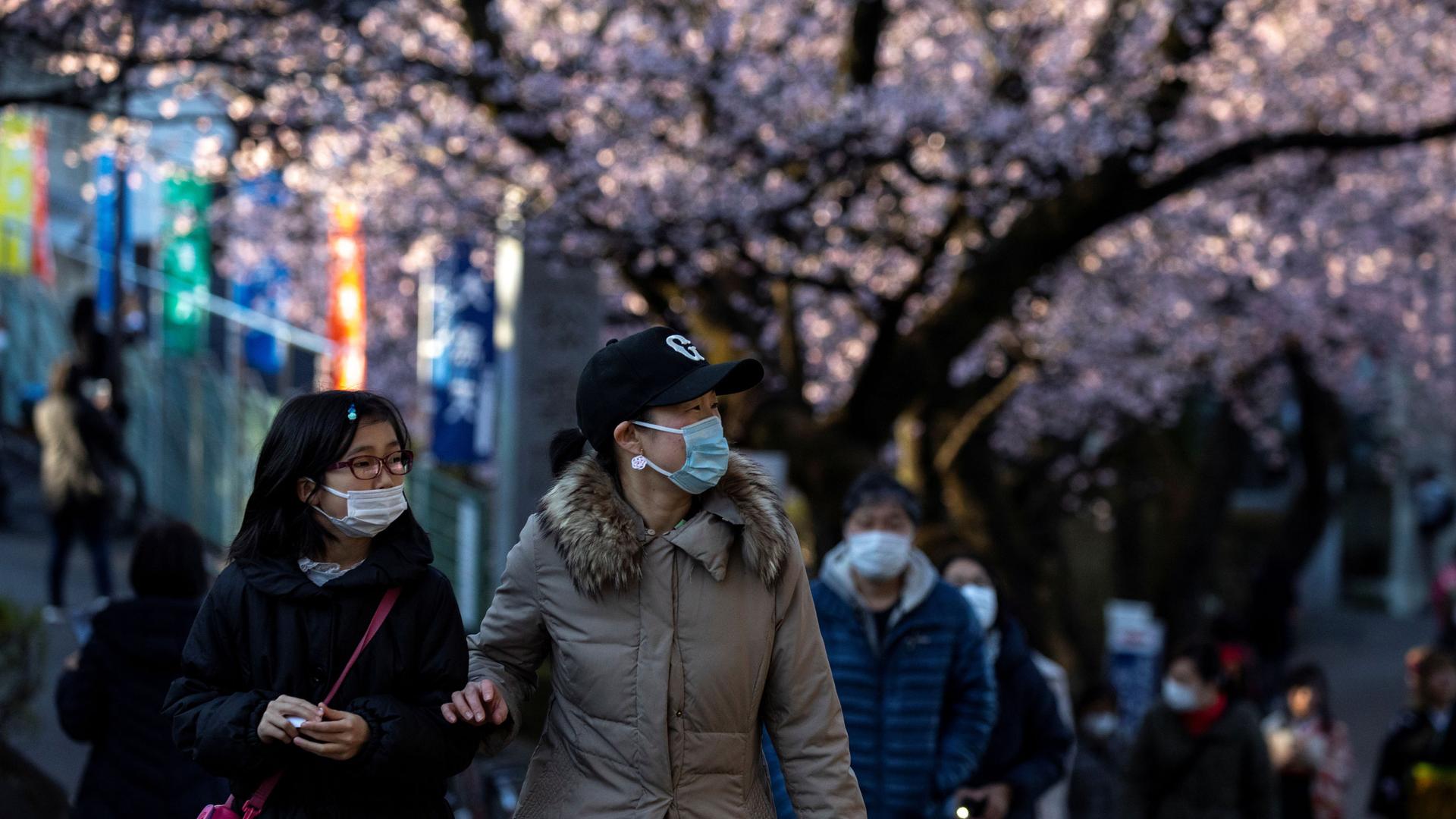 Several people are shown wearing face masks and walking near the pink blossoms of cherry trees.
