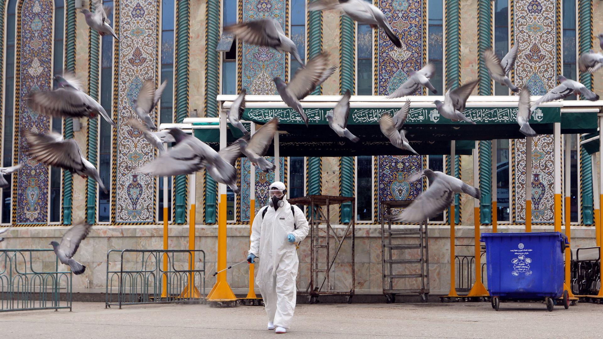 A man is shown wearing a full body protective suit, spraying disinfectant as pigeons fly away.