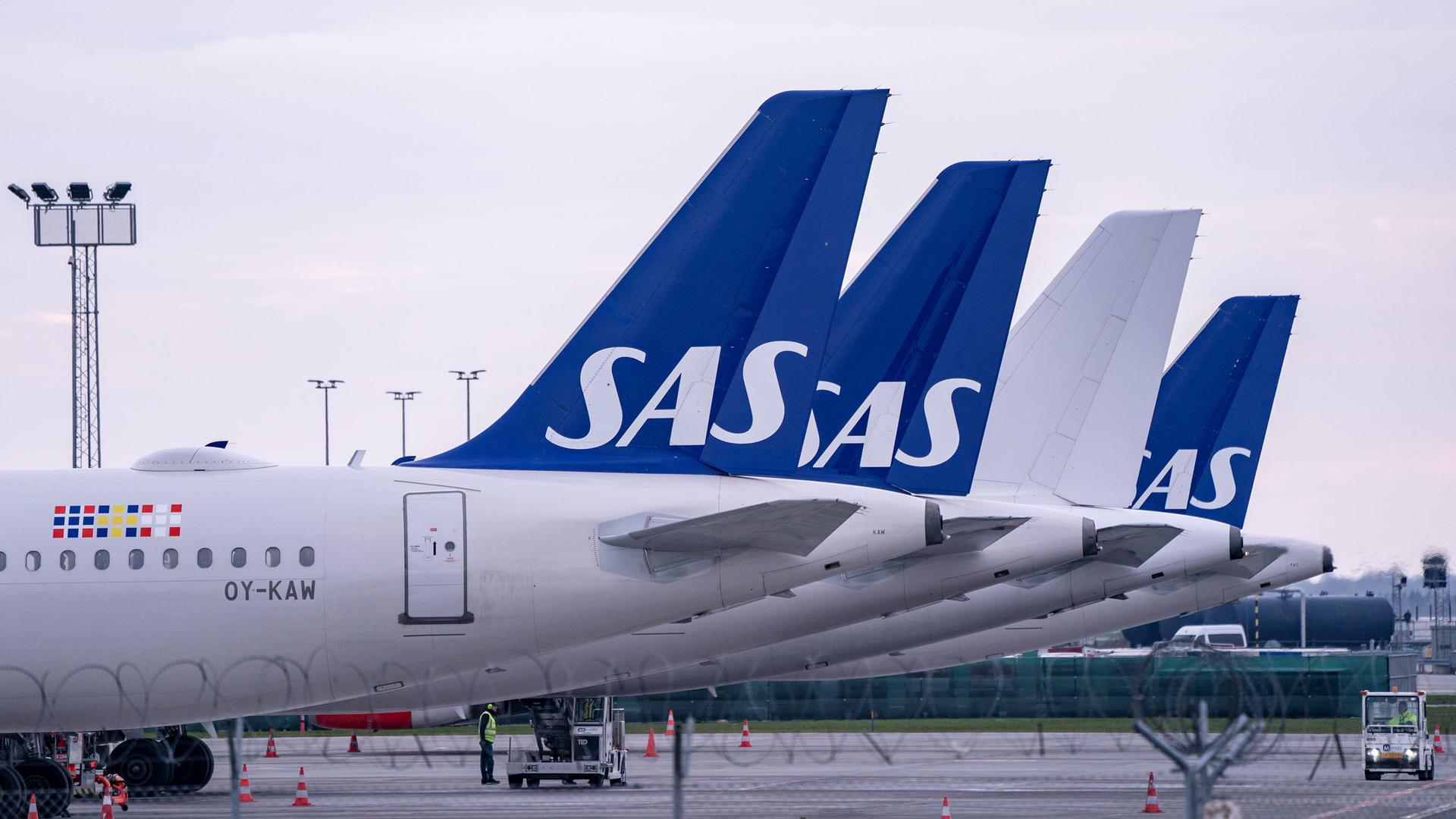 The tails of several aircraft from SAS airlines are shown lined up.