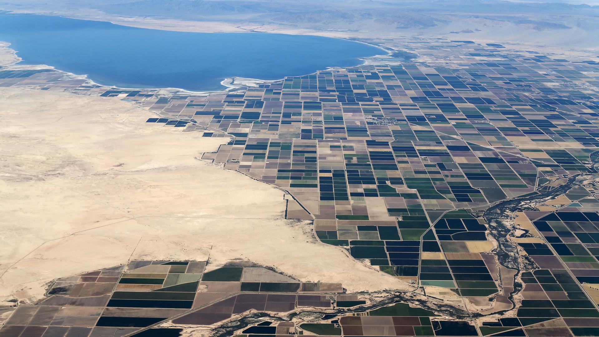 Agricultural farm land is shown near the Salton Sea and the town of Calipatria in California, May 31, 2015. California is enduring its worst drought on record. 