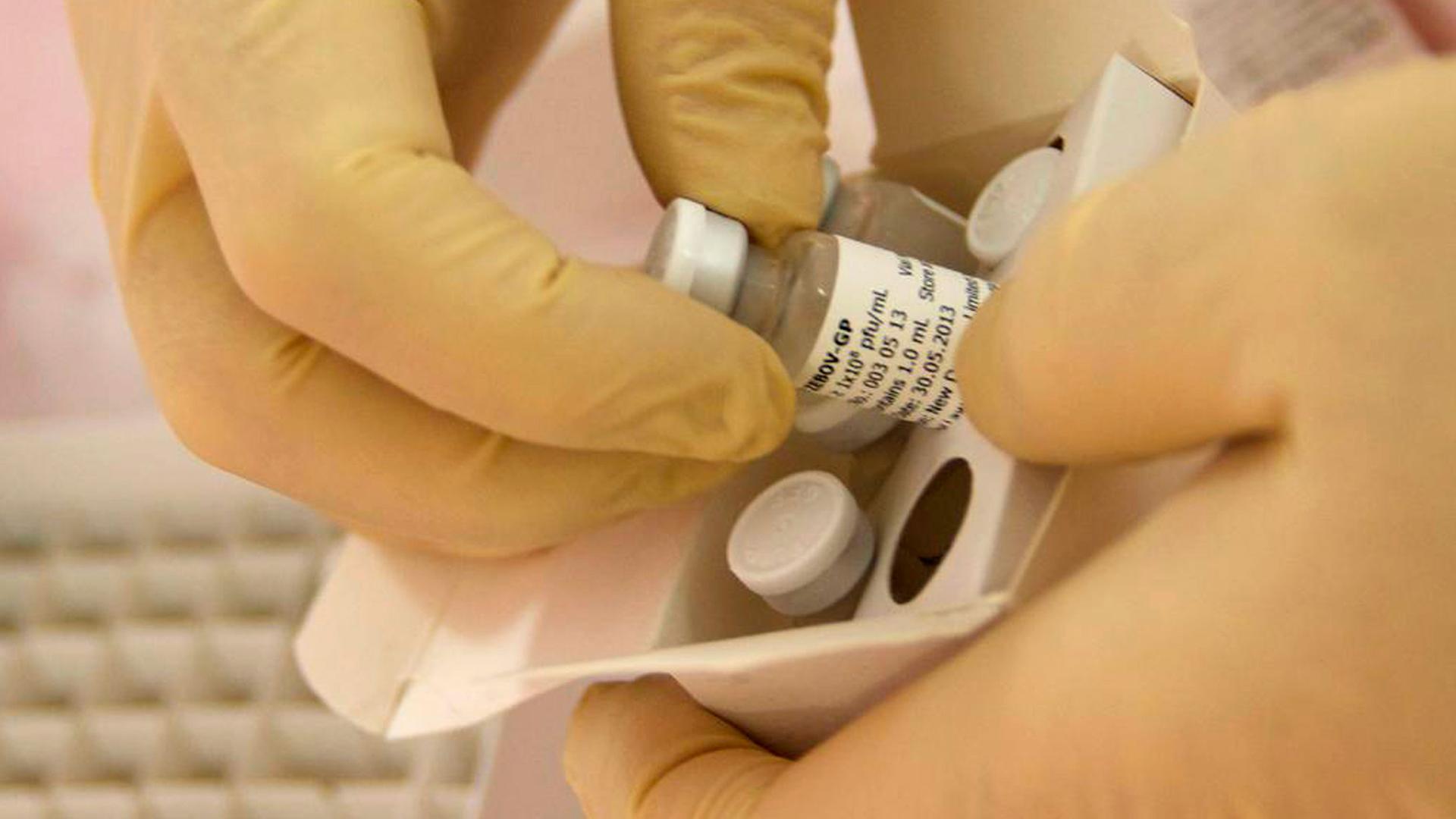 A close up of gloved hands holding a vaccine. 