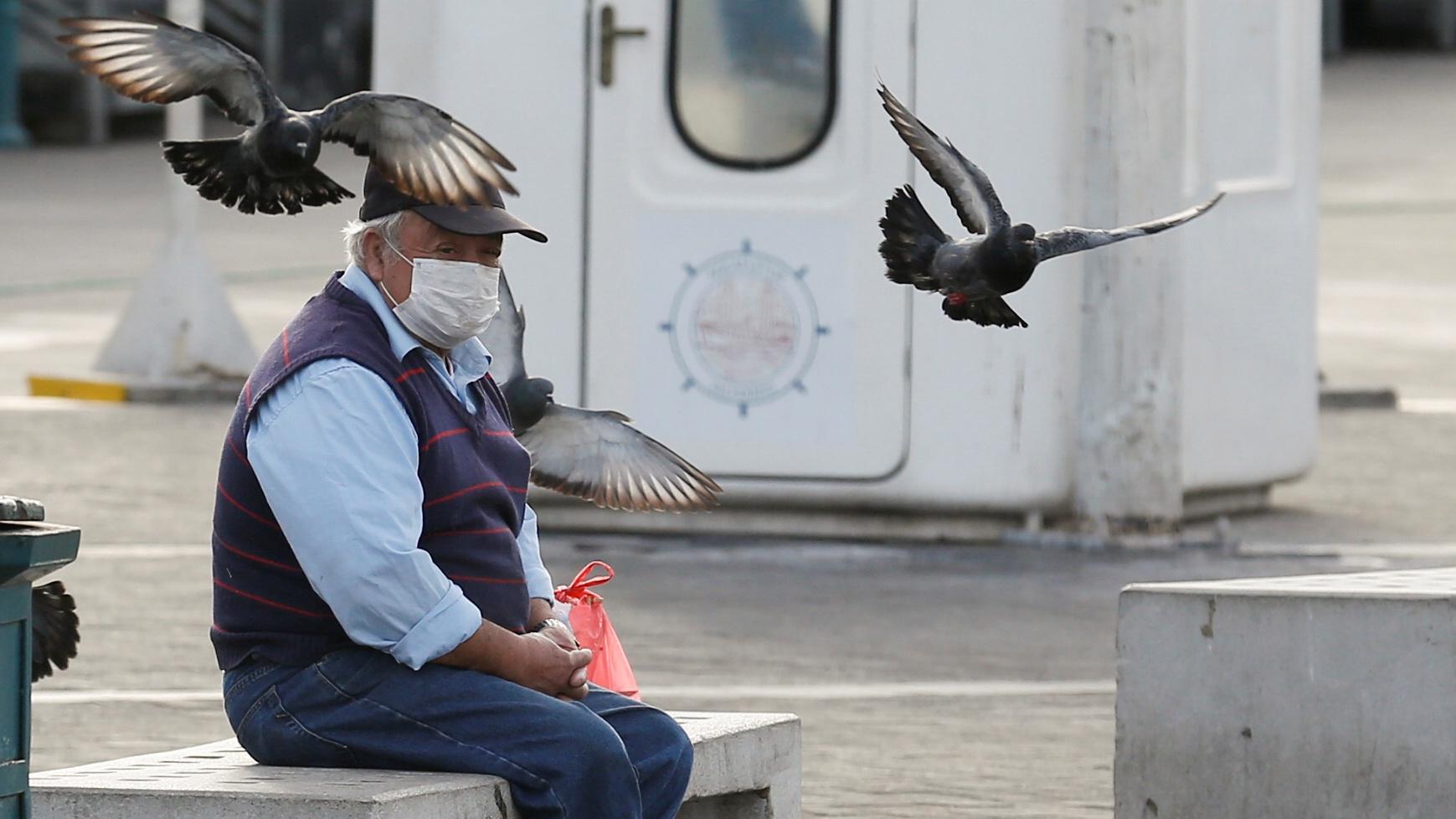 Man sits on bench with mask and bird flies overhead 