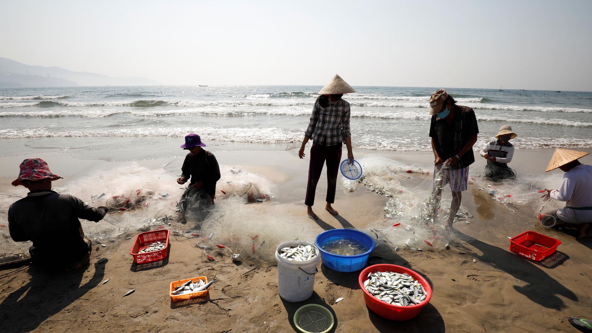 People wearing protective masks collect fishes on a beach during the coronavirus disease (COVID-19) outbreak in Da Nang city, Vietnam, May 6, 2020. 