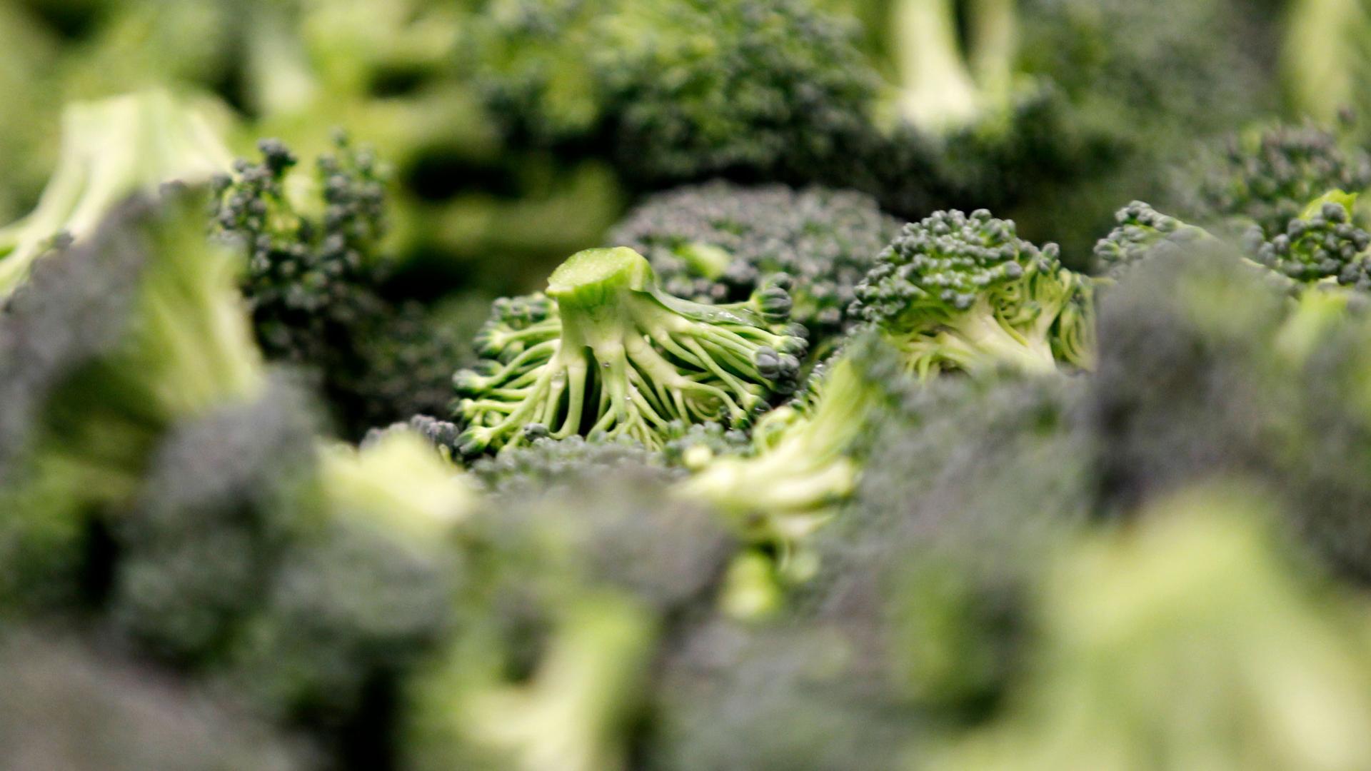A close up of broccoli crowns