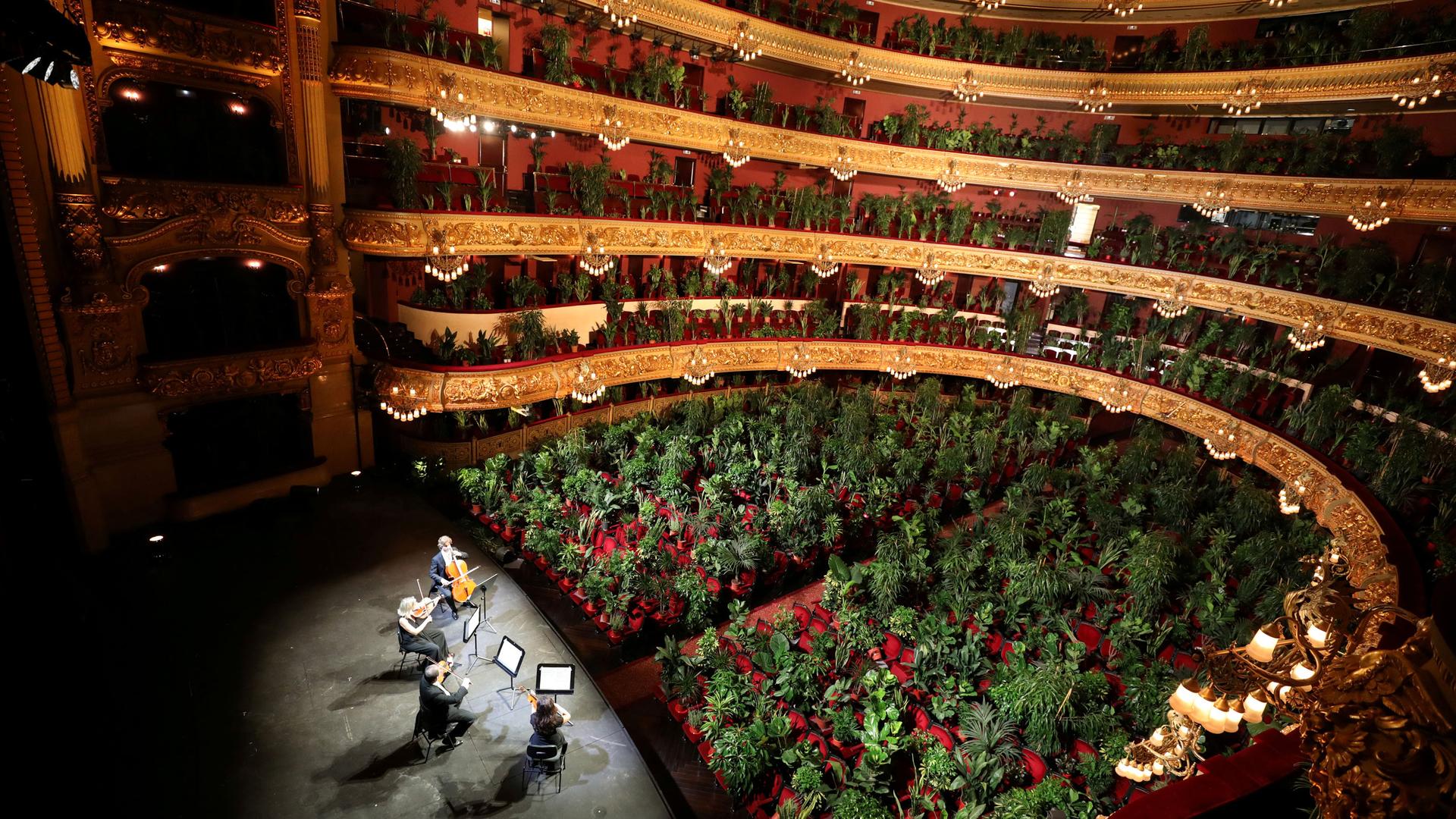 A theater is shown filled with potted plants in the chairs.