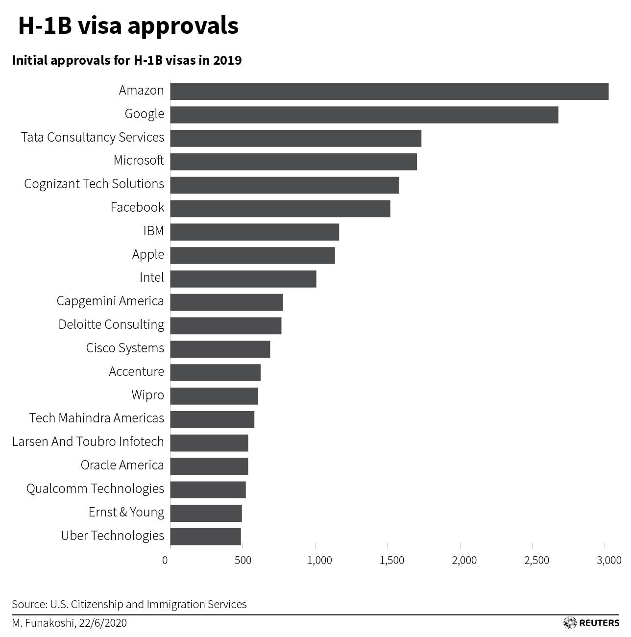 A bar chart showing what companies use H1-B visas.