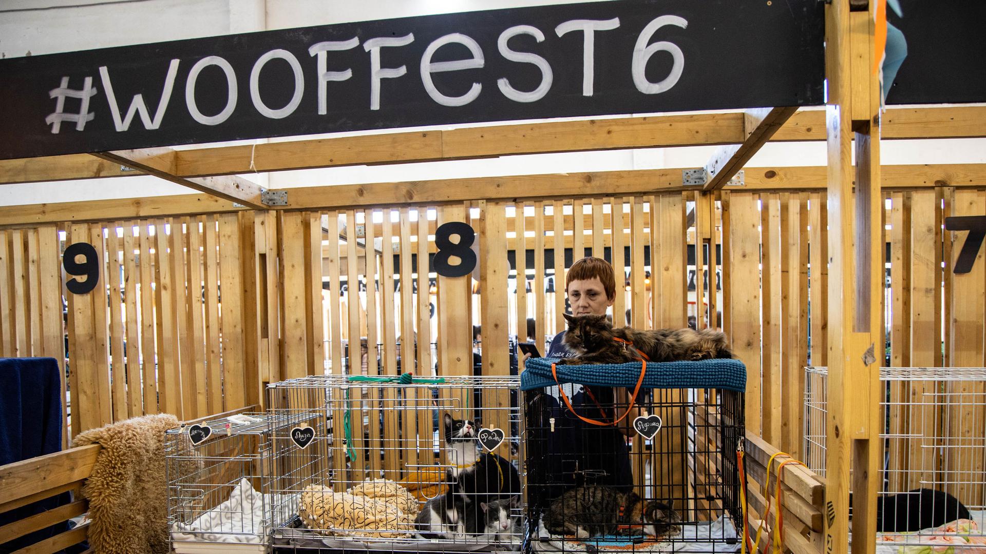 A woman is shown standing behind three cats in cages below a wooden sign that says, "Woof fest."