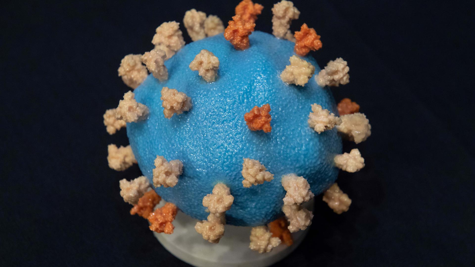 A circular, close-up model of the SARS-CoV-2, known as the novel coronavirus, modeled in blue, orange and white.