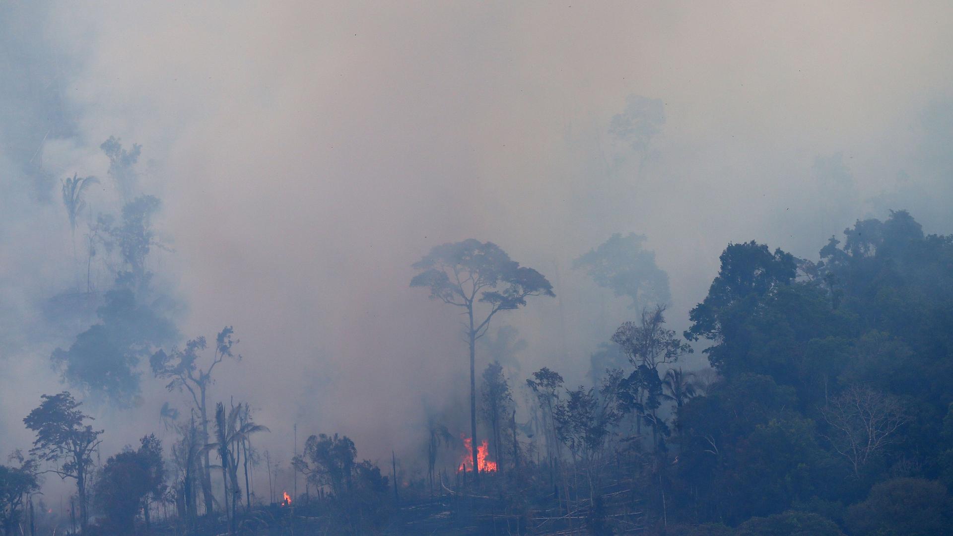 An aerial view of a tract of Amazon jungle burning as it is cleared by farmers in Itaituba, Para, Brazil, Sept. 26, 2019. 