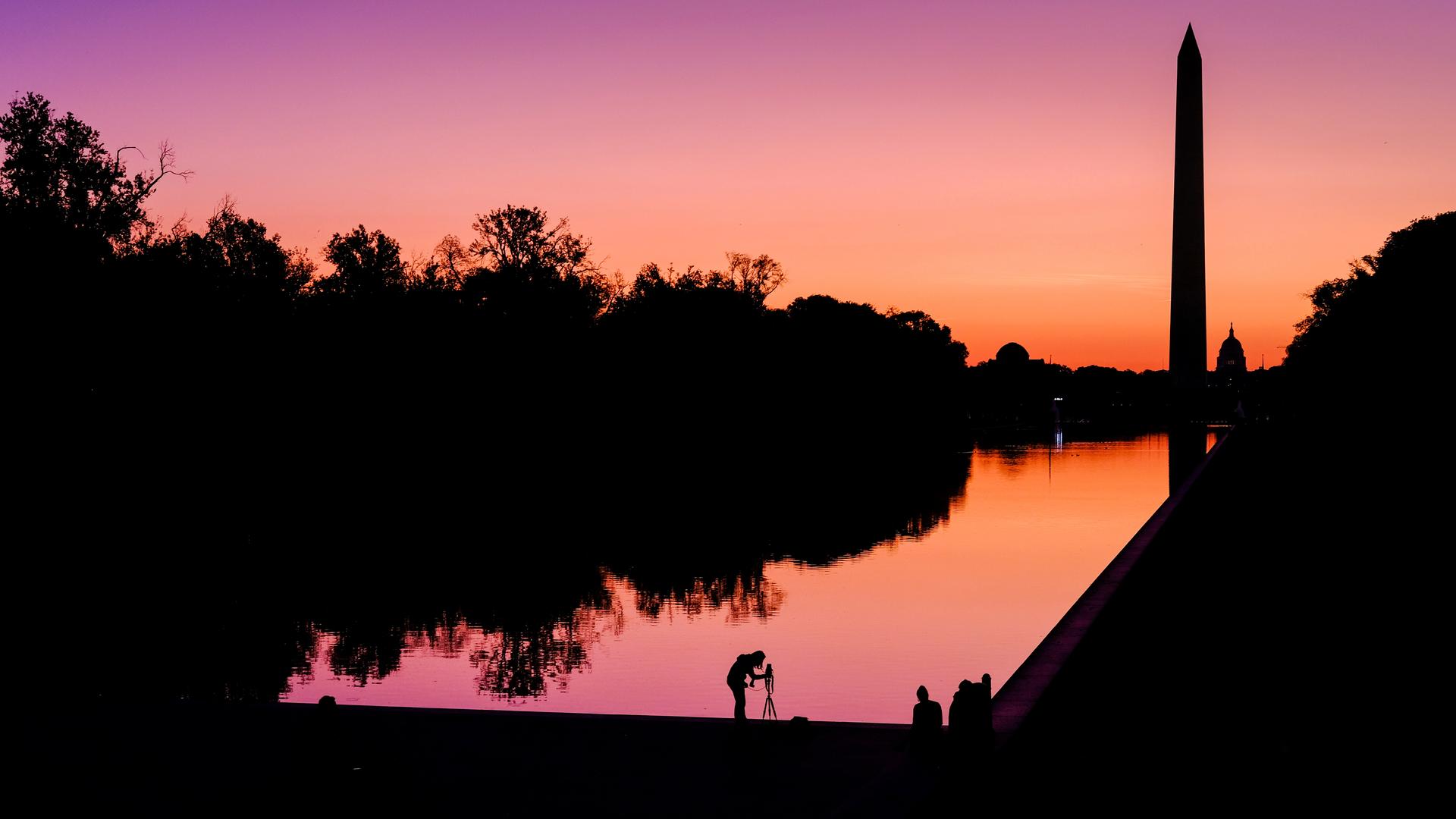 A pink and orange sunset along the National Mall in Washington DC with silhouetted trees
