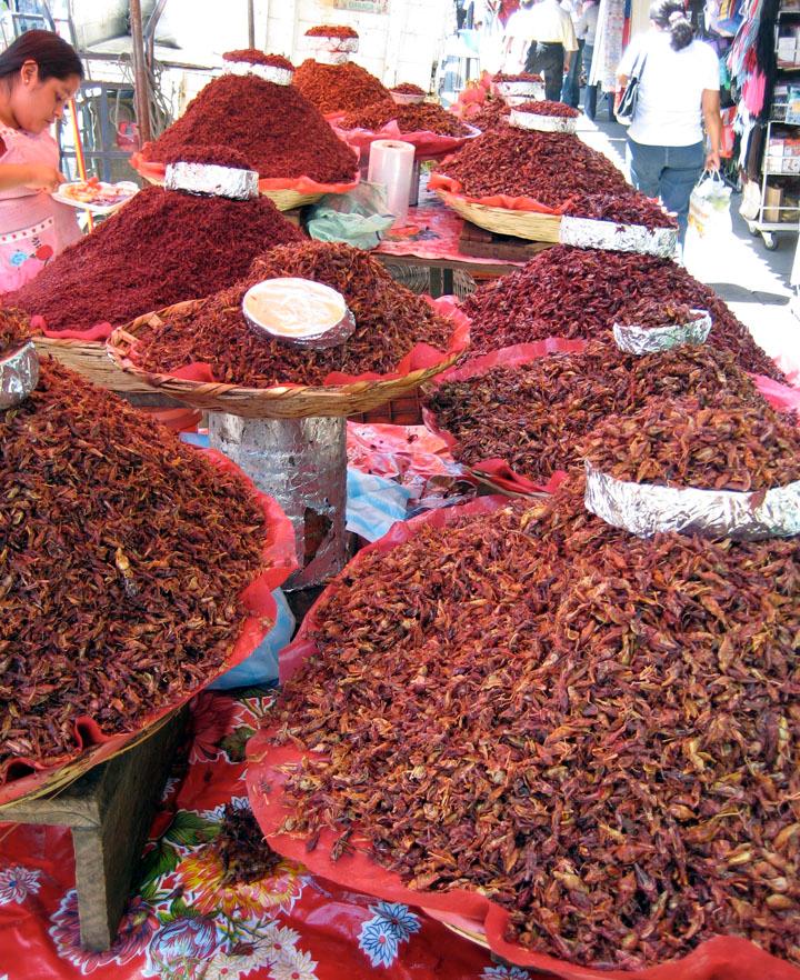 Rows of bowls filled with savory grasshoppers at a Mexico market