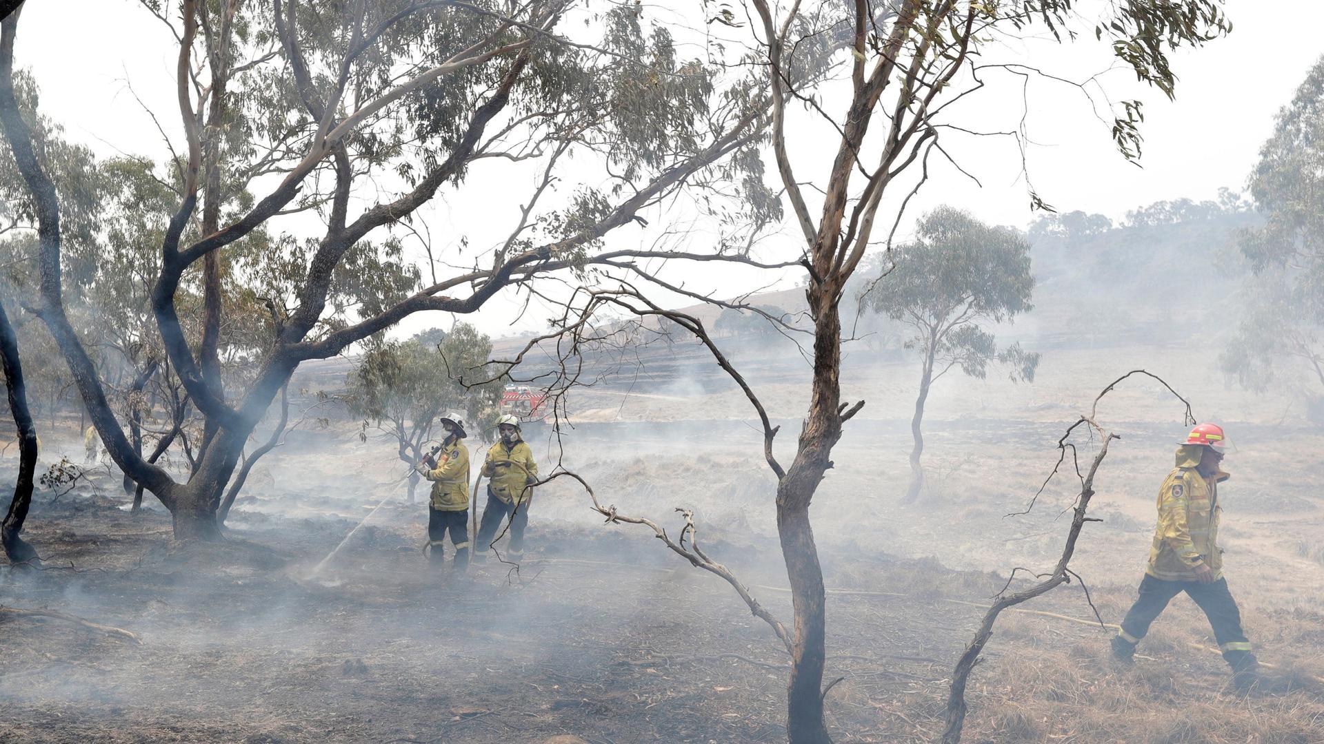 Firefighters control a spot fire near Bredbo, south of the Australian capital, Canberra, Feb. 2, 2020. 