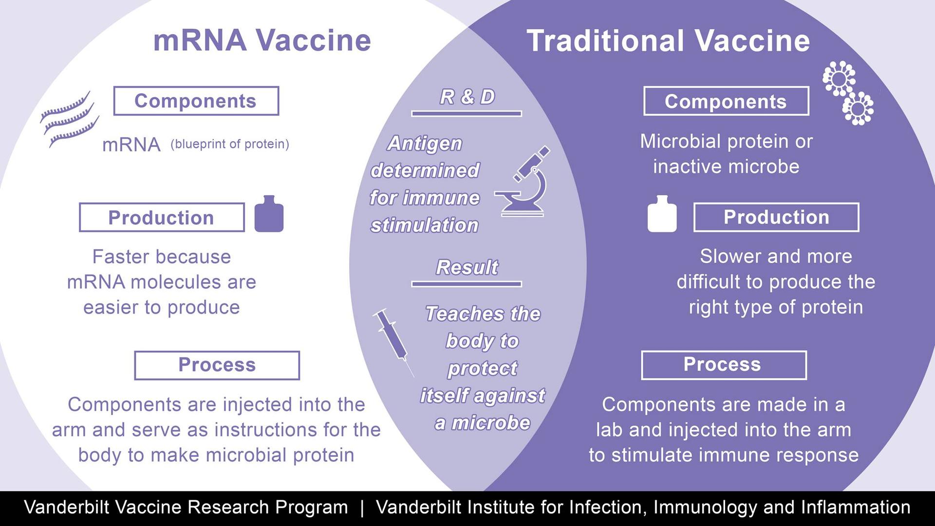 Diagram showing the differences between an mRNA vaccine and a traditional vaccine (and the area of overlap as well)