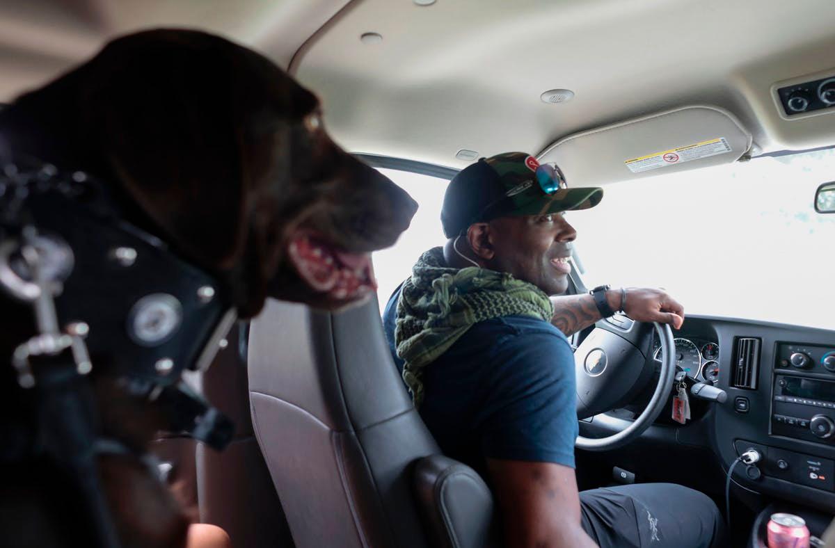 A service dog rides with a veteran on his way to a PTSD support group