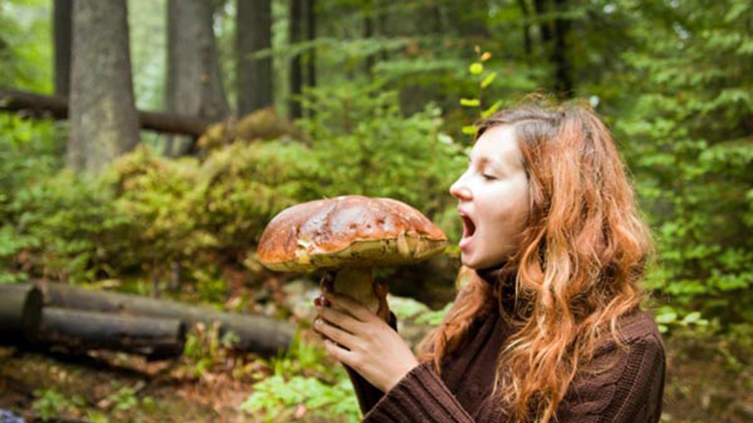 A woman holds a large mushroom in the Ukraine's Carpathians