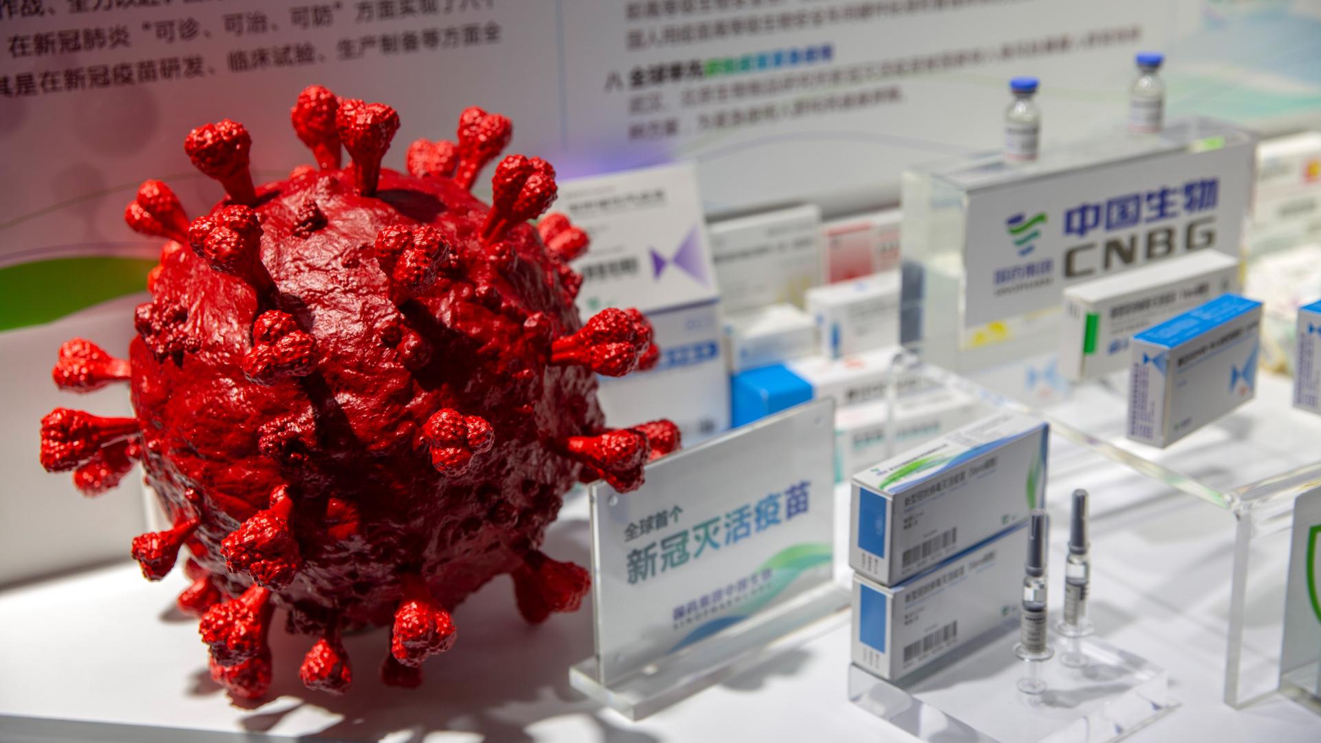 A model of the coronavirus in red is displayed next to boxes of COVID-19 vaccines