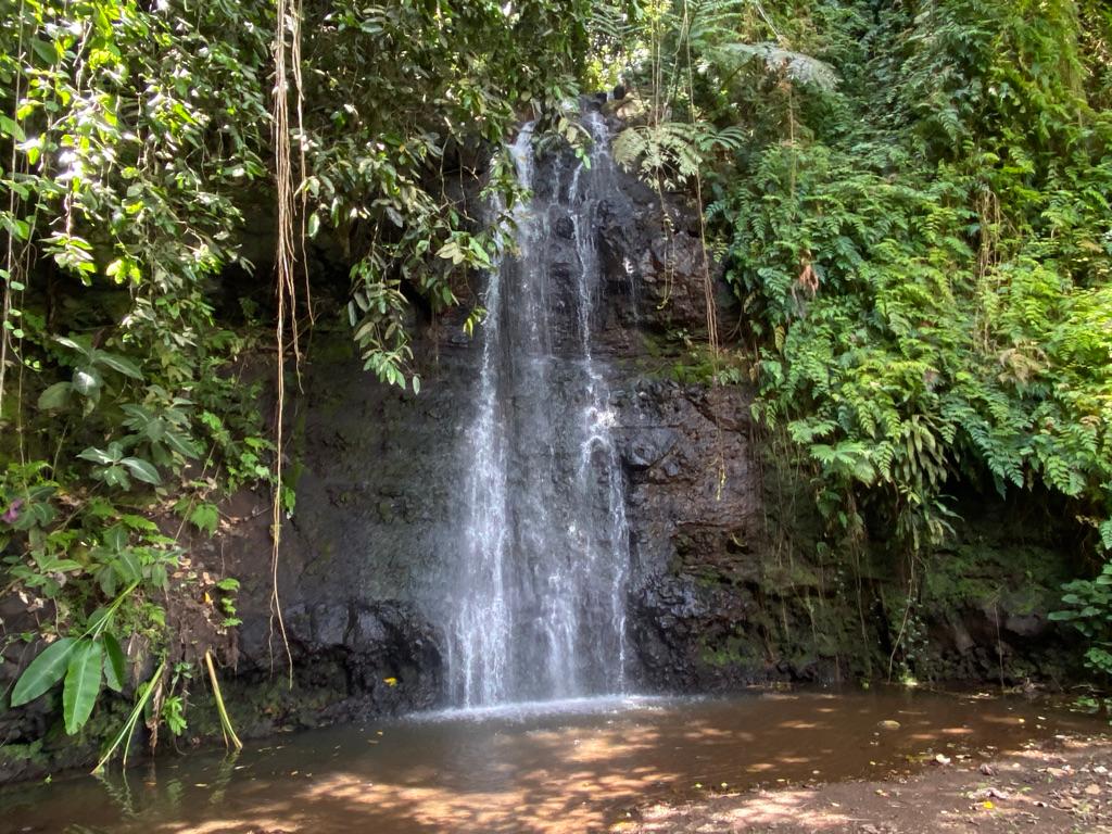 A waterfall in Tahiti.