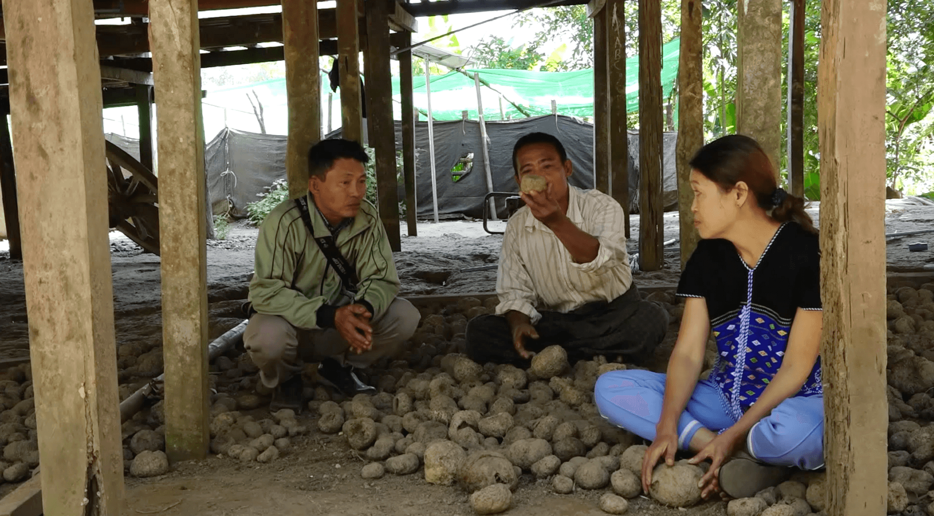 U Saw Mhue Dee, U Saw Benjamin and Daw Naw Lay Lay explain the process of growing elephant foot yam, sheltered from the afternoon heat under a stilt house in Paungdawgyi Village. 