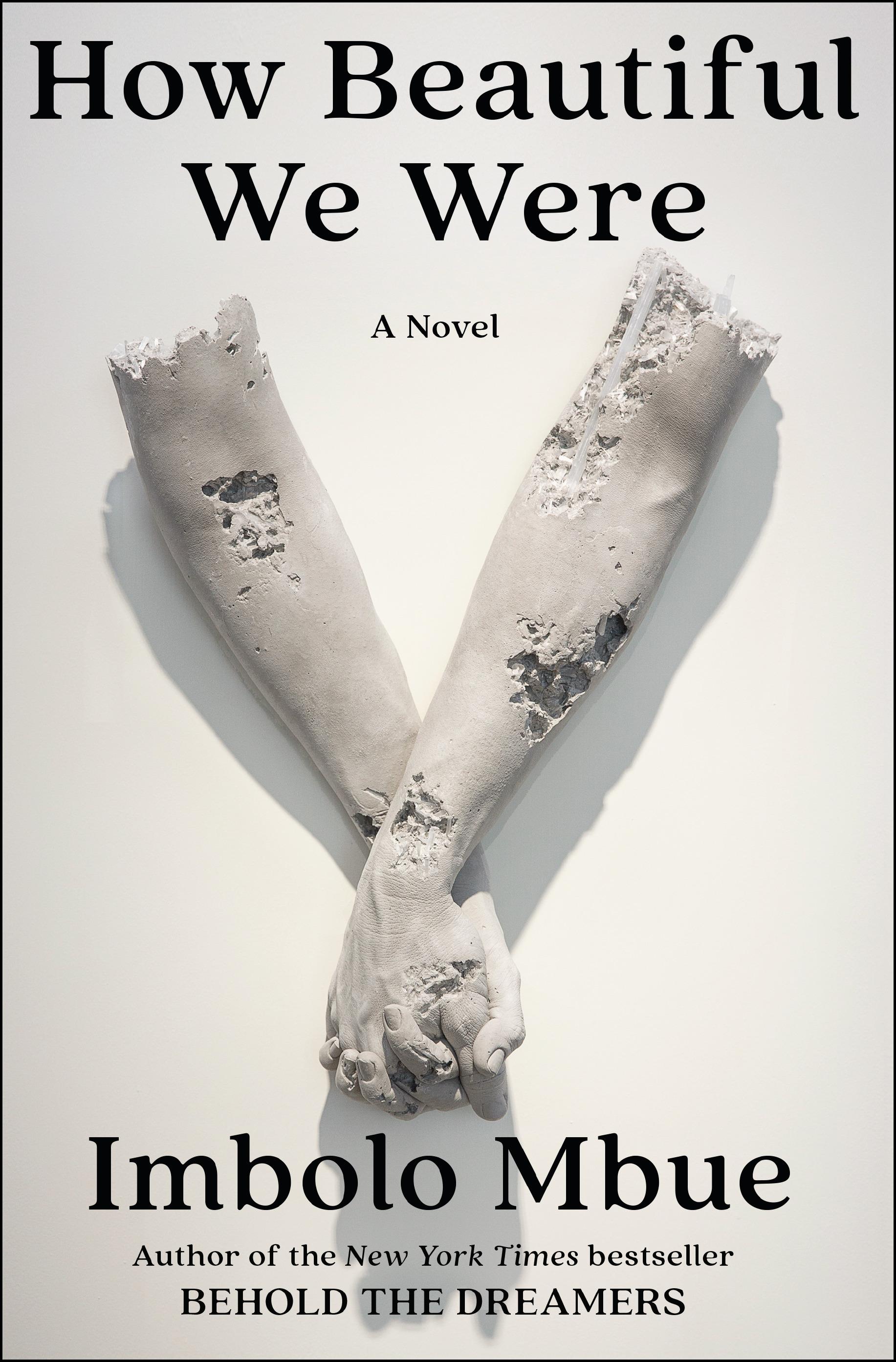 Cover image of a black and white novel cover