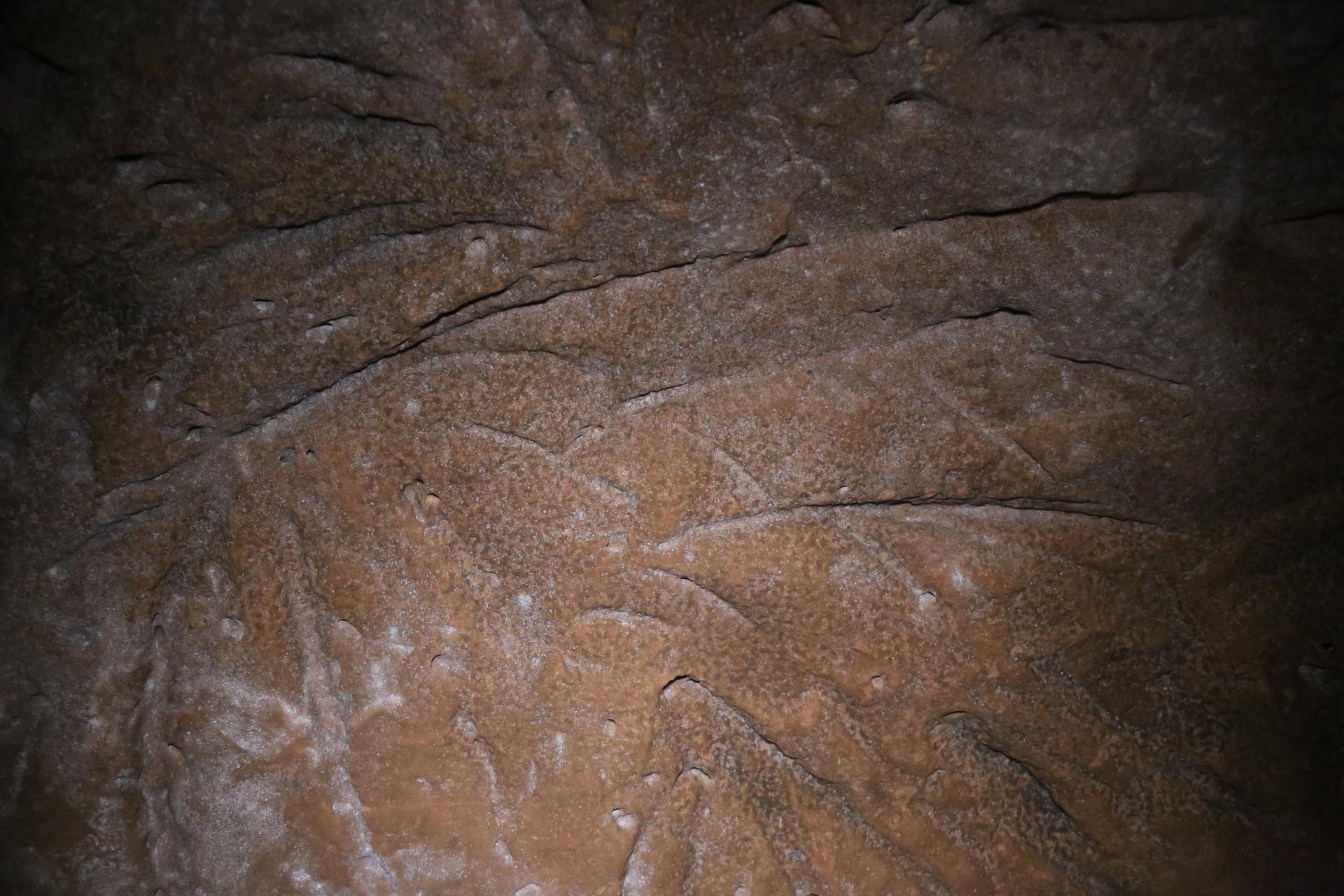 The defining feature of many paleoburrows found in southern Brazil: claw marks made by the giant ground sloth.