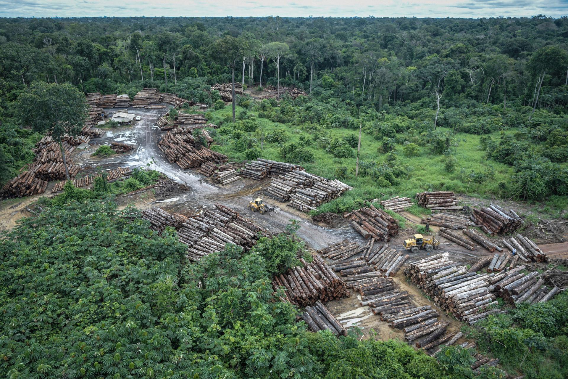 Image of an illegally deforested area on Pirititi Indigenous lands. 