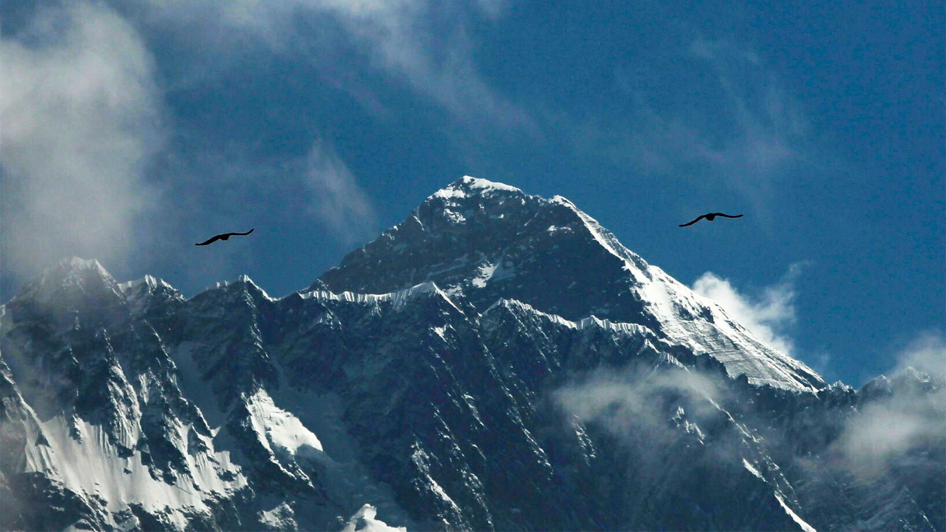 Birds fly above Mount Everest against a blue sky