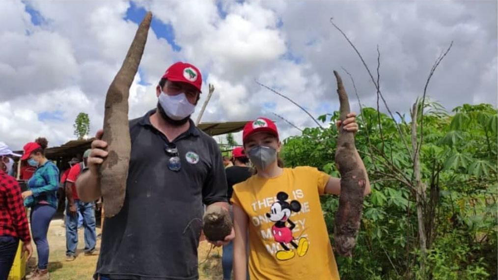 Two farmers hold huge cassava.