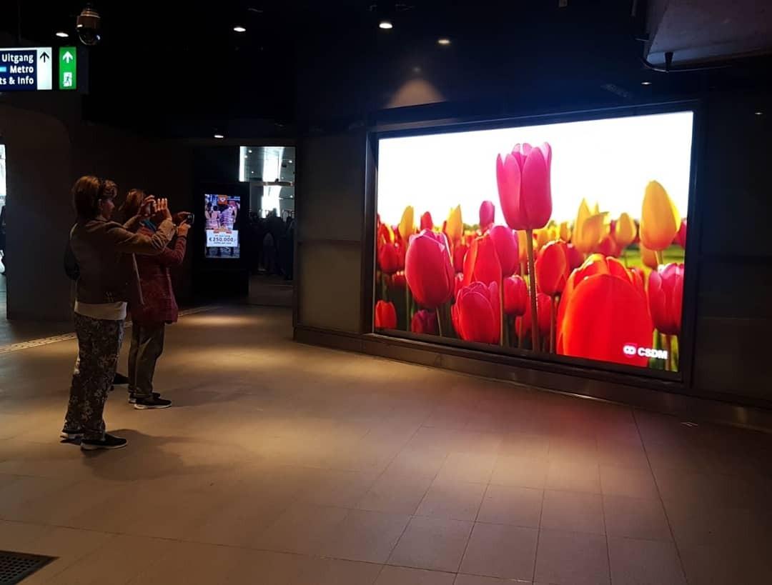 An ad for colorful tulips shines on a large-screen TV in a subway.