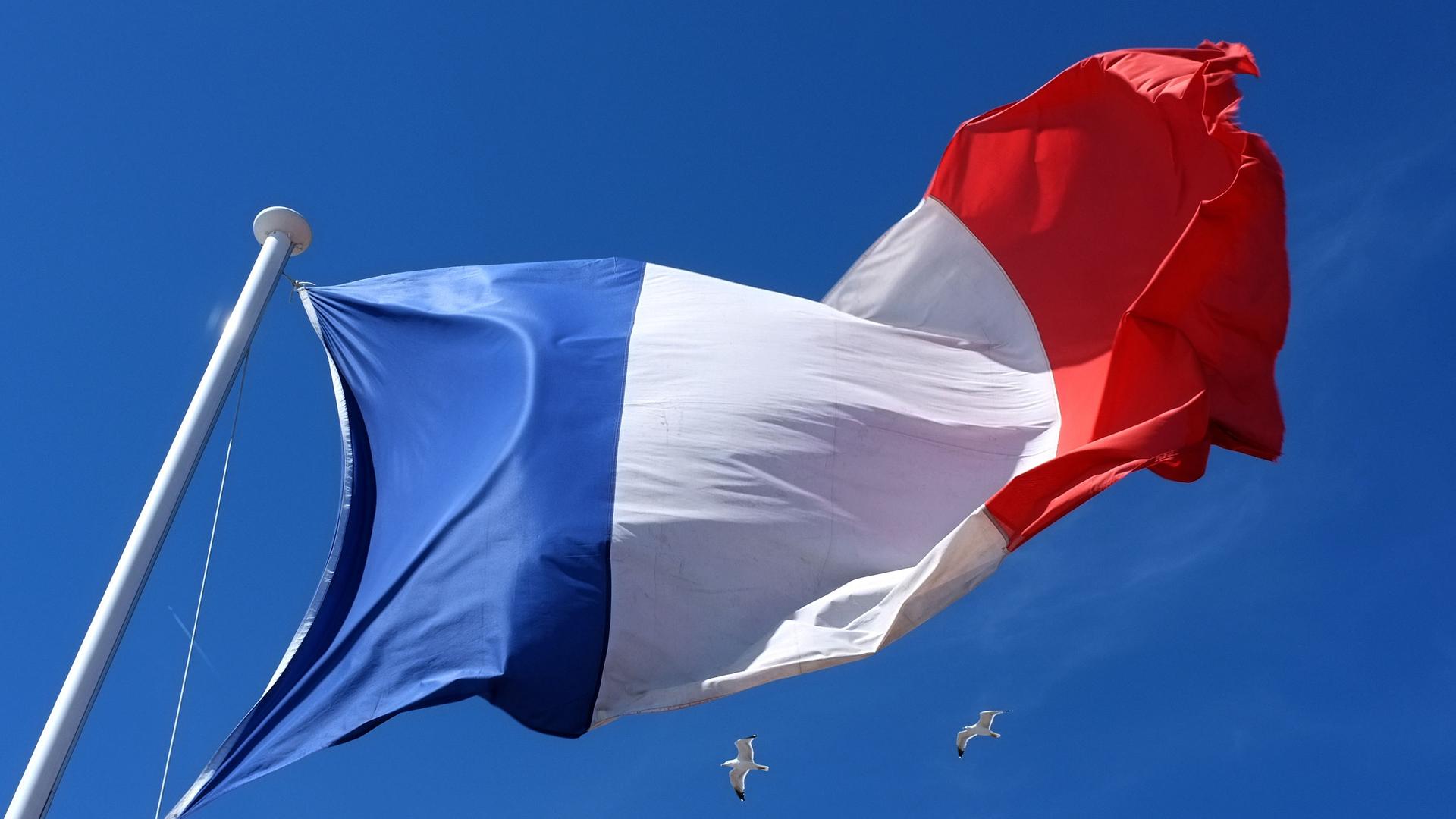 Blue, white and red French flag fleets in Nice, southeastern France, Tuesday, March 19, 2013.