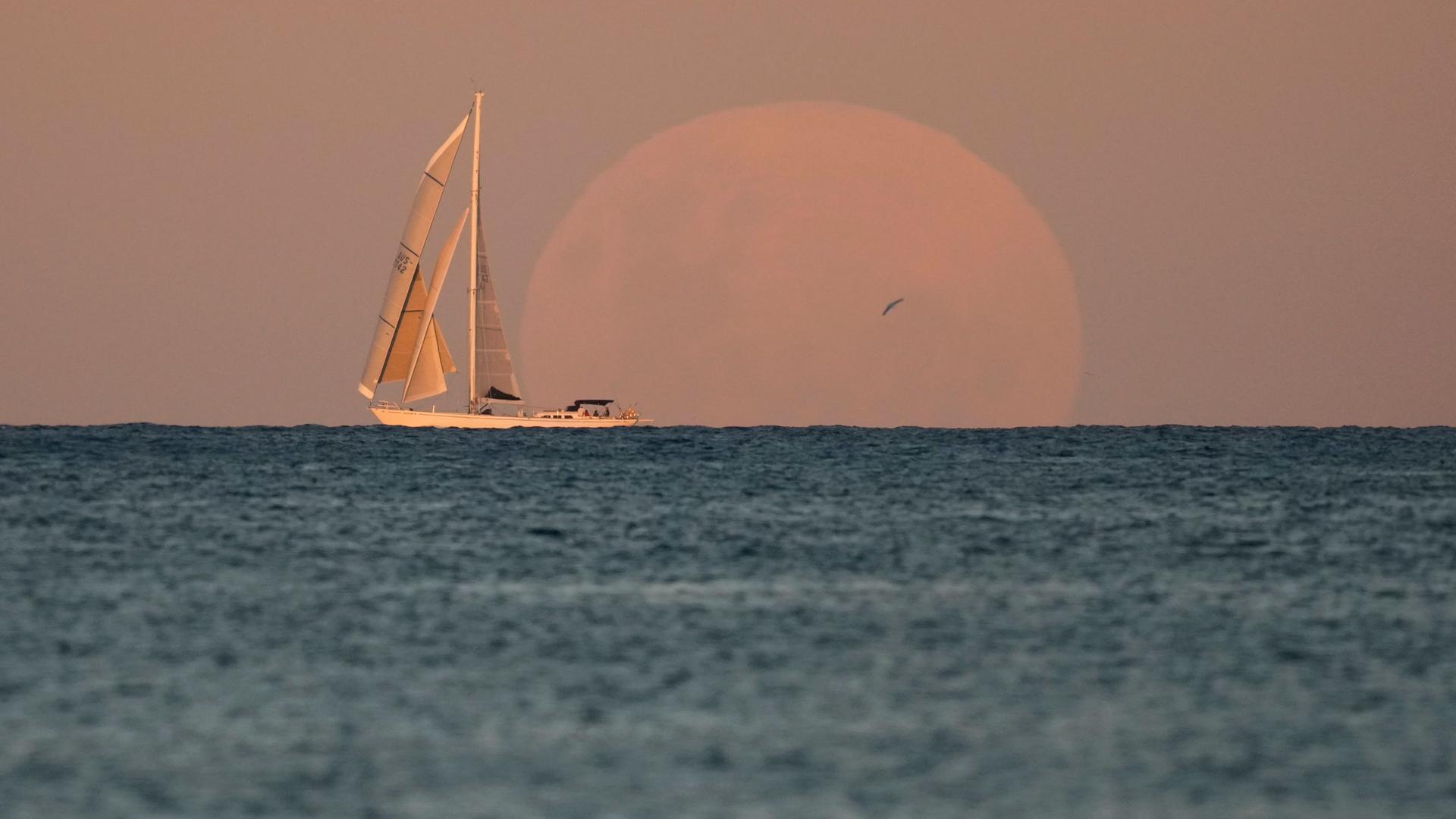 A boat with its sails up is shown at the horizon line during golden hour as a large orange moon is shown behind it.