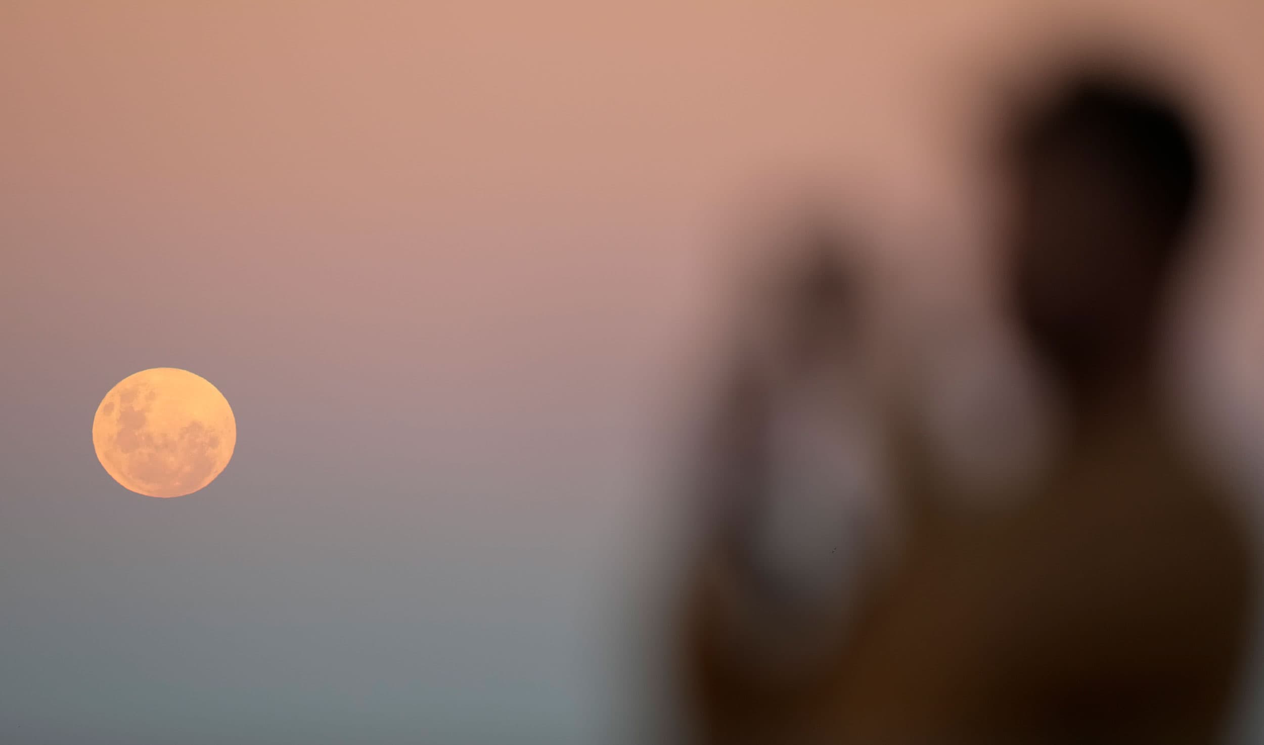 The moon, orange in color is shown in the distance with a person taking a photograph shown in the nearground in blurred focus.