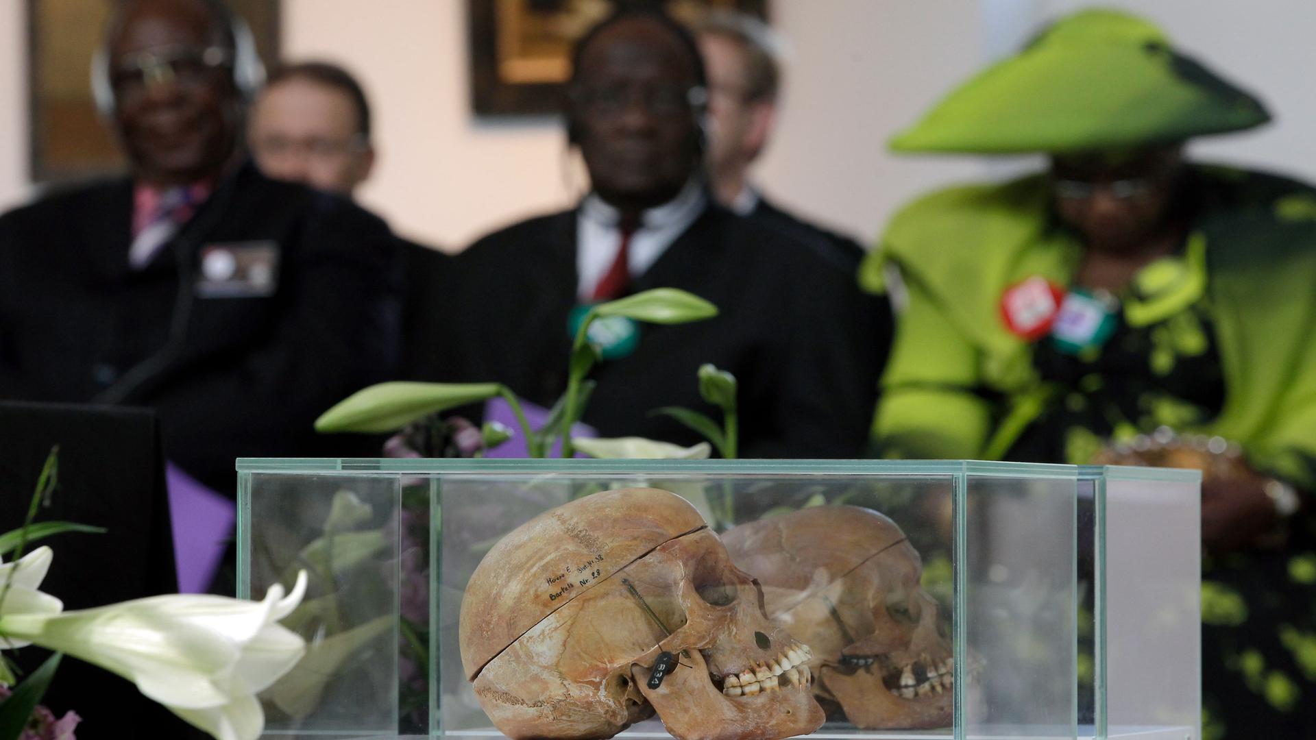 Two human skulls are shown in a glass case with several people wearing dark suits in the background.
