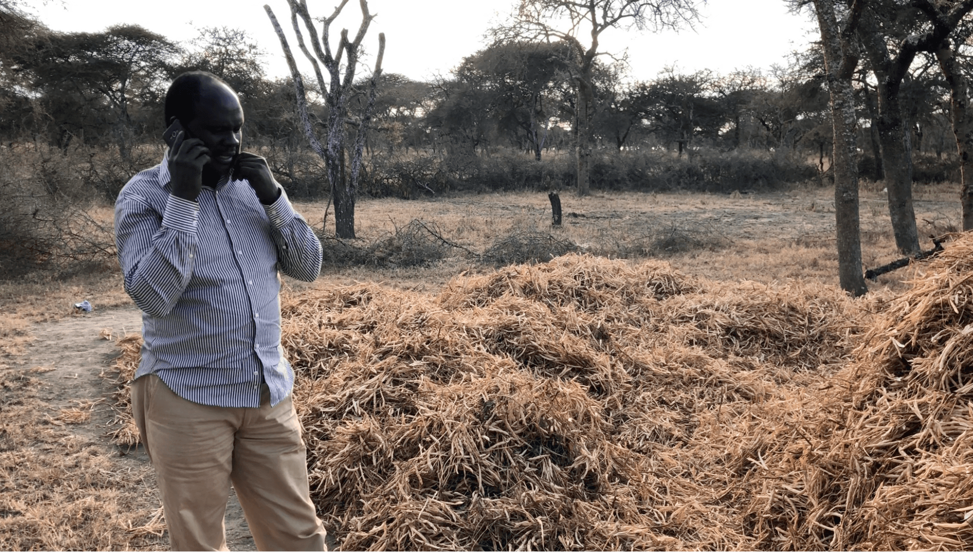 A Maasai man talks on his phone near his neighbor’s bean harvest.