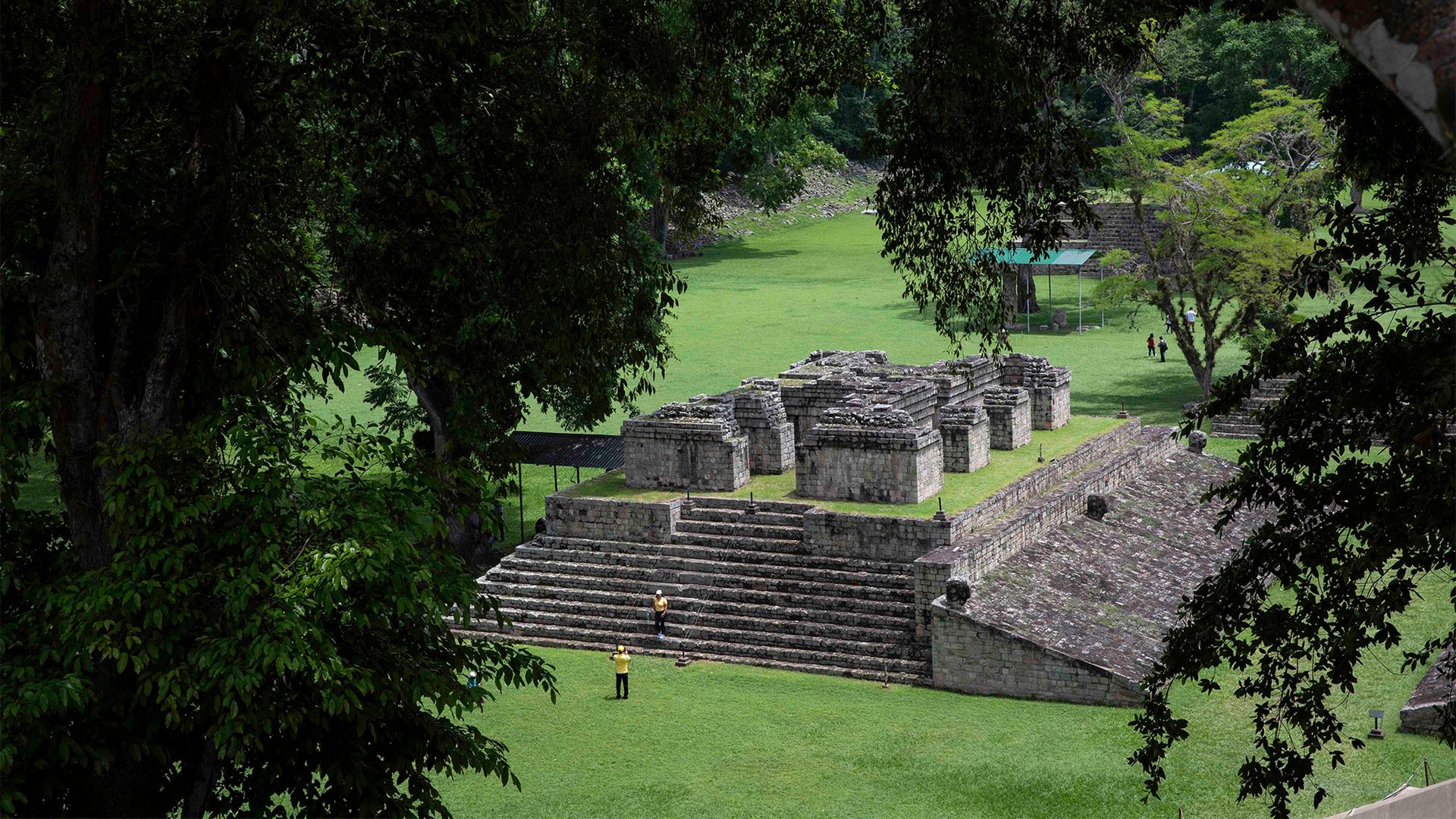 Mayan stone ruins in a field of foliage