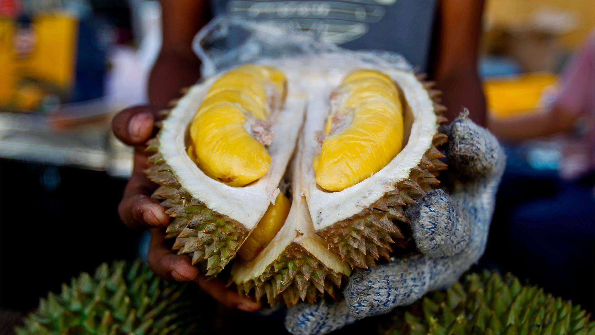 Woman wearing gloves holds out a durian fruit