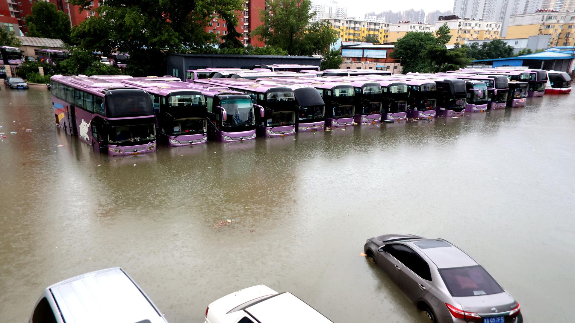 A row of more than a dozen purple buses are shown partially submerged by flood water.