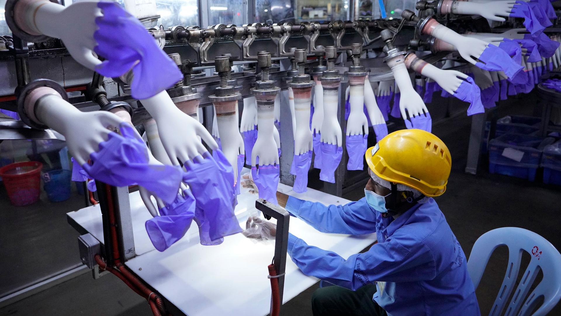 A worker wearing a yellow safety hat inspects disposable blue gloves at a factory. 