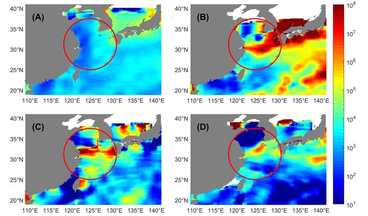 These images show microplastic concentrations (number of particles per square kilometer) at the mouths of the Yangtze and Qiantang rivers where they empty in to the East China Sea.