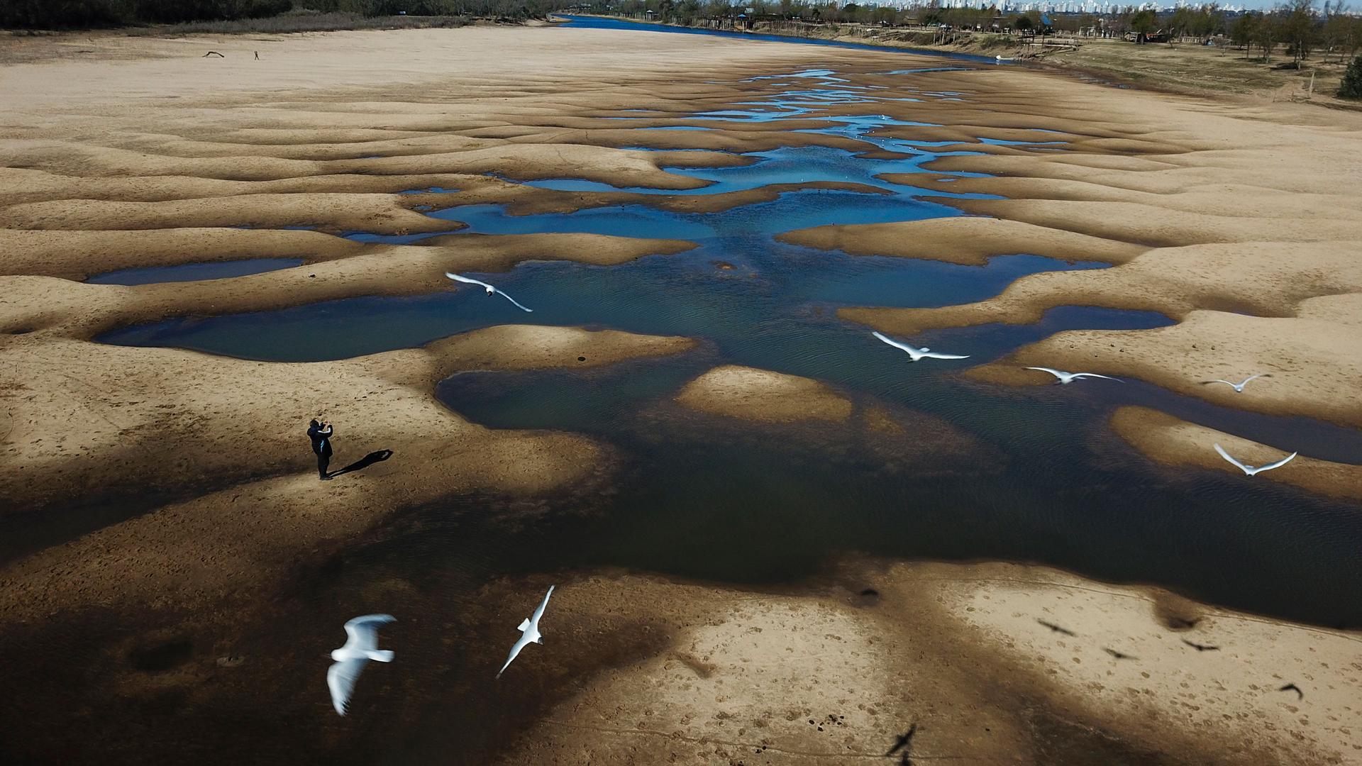 In this Thursday, July 29, 2021, file photo, birds fly over a man taking photos of the exposed riverbed of the Old Parana River, a tributary of the Parana River during a drought in Rosario, Argentina.