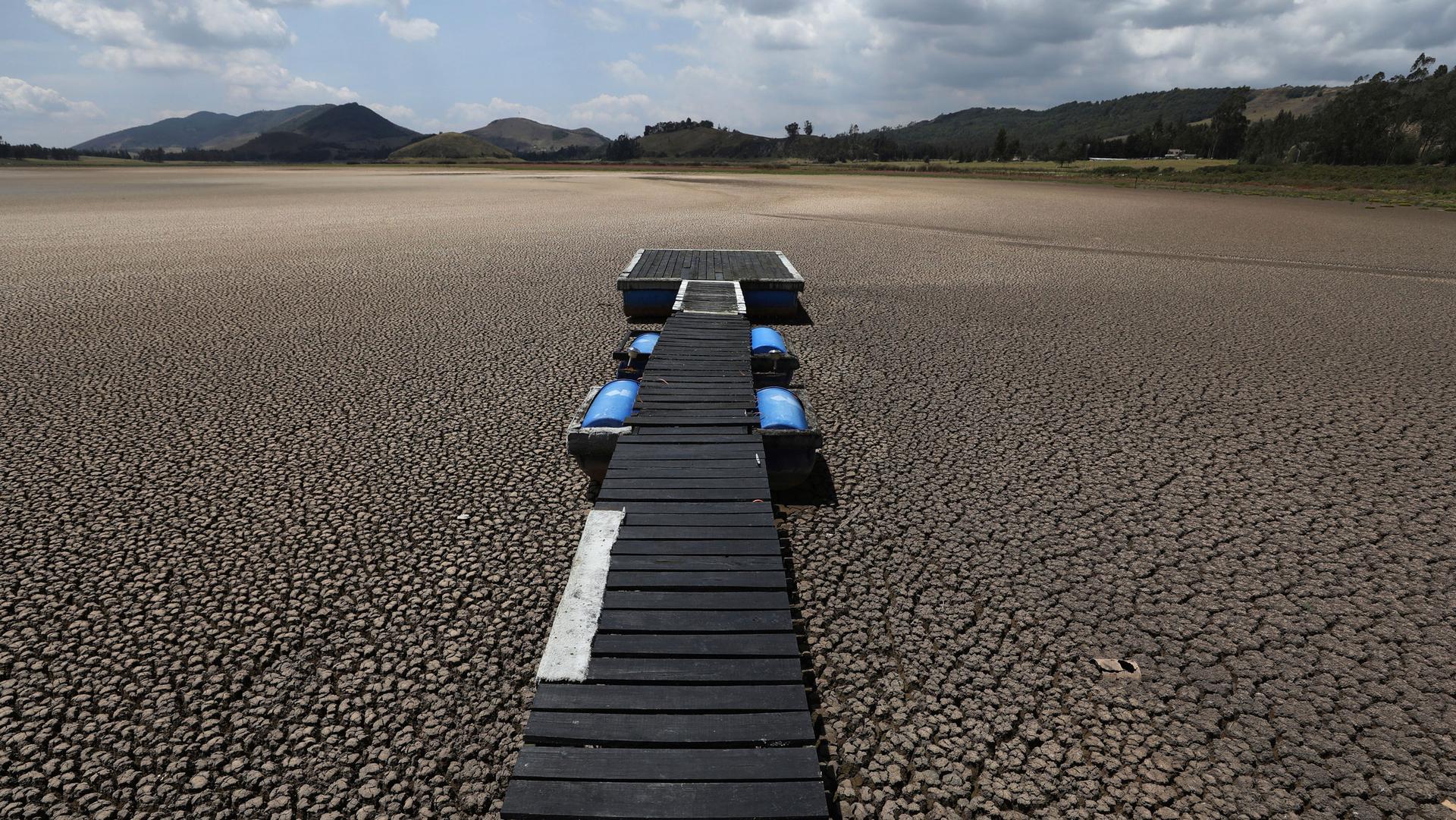 A long wooden dock is shown with blue barrels on both sides on the dry bed where a lake used to be.
