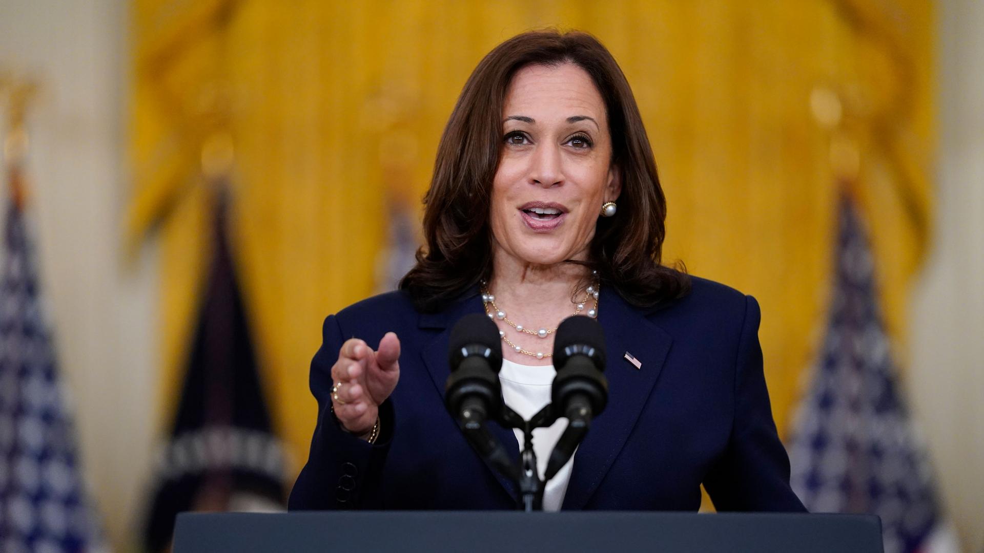 Vice President Kamala Harris is shown standing at a podium with two microphones and her right hand pointing forward.