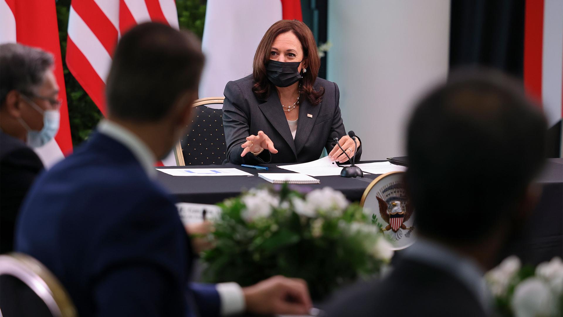US Vice President Kamala Harris takes part in a roundtable at Gardens by the Bay in Singapore