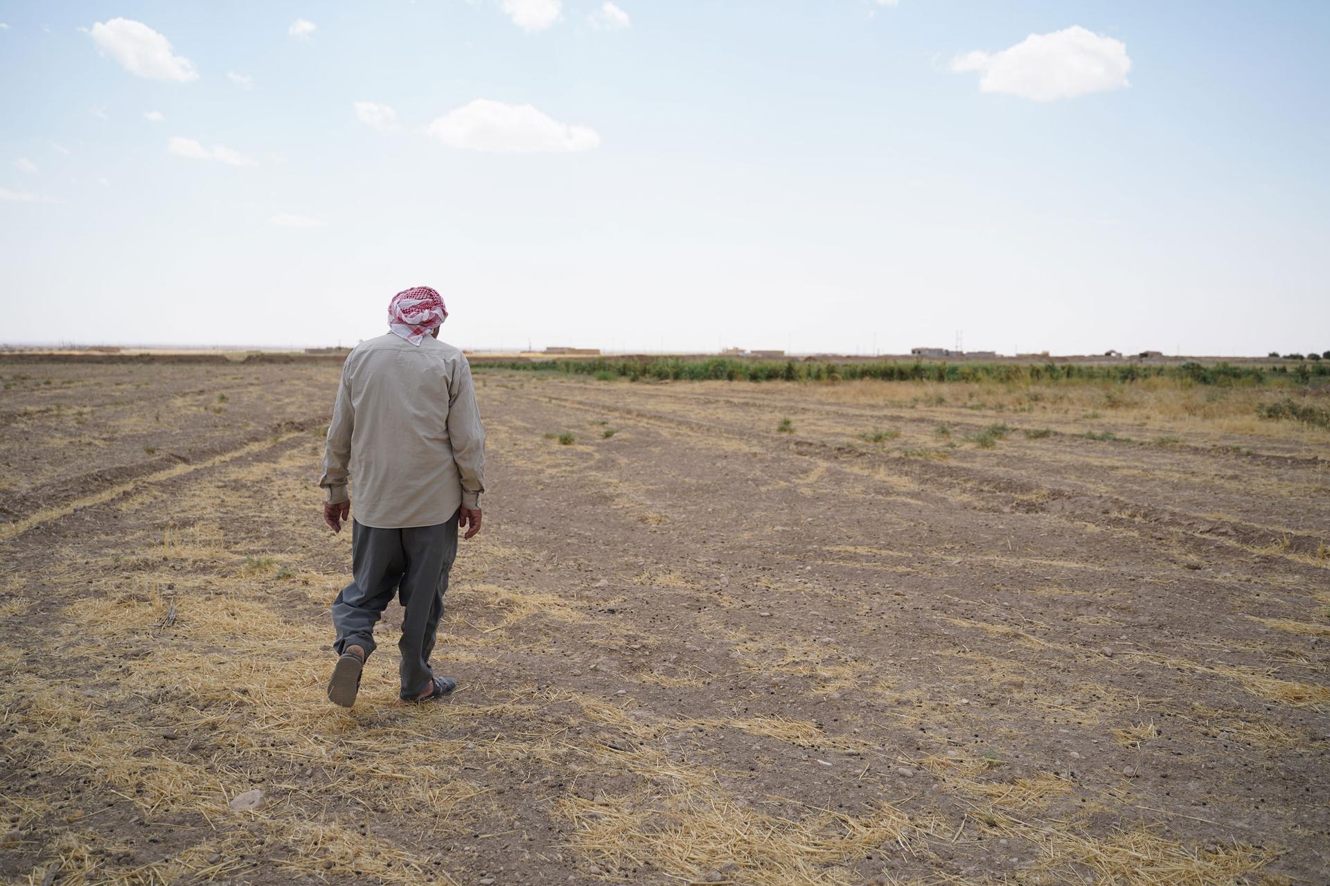 Haji Hassa, a Yazidi farmer from Kuri Jami village in Sinjar, August 2021.