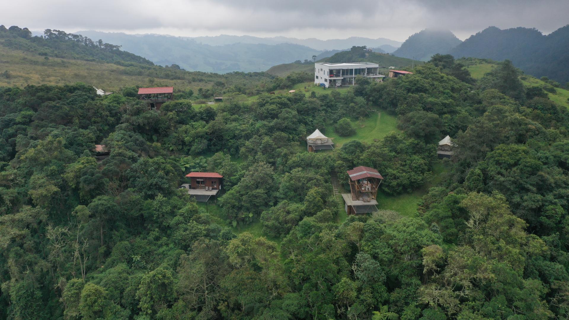 At El Color de Mis Reves, or The Color of My Dreams, most of the land is covered by cloud forests. The owner wants the forest to regrow to give the wildlife more space. 