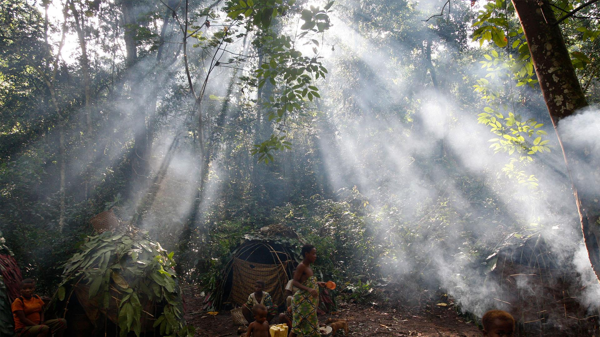 Shafts of sunlight filtering through the forest canopy strike smoke from fires burning outside family huts at an Mbuti pygmy hunting camp in the Okapi Wildlife Reserve outside the town of Epulu, Congo