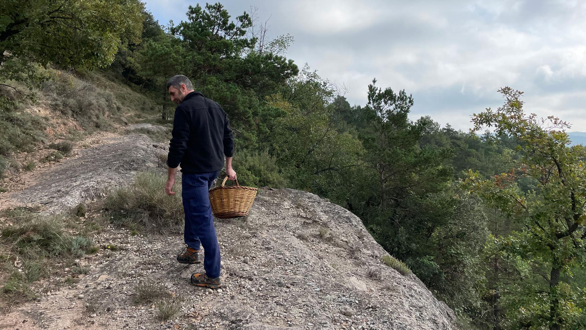 Pep González, a longtime mushroom forager, on a hunt for mushrooms in the forest. 