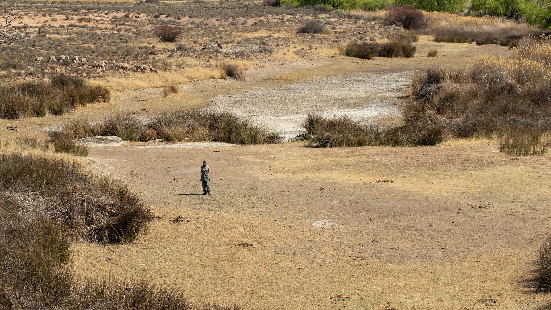 In this Friday, Sept. 24, 2021 file photo, a shepherd stands in the dry riverbed at Colesberg, Northern Cape, South Africa. 