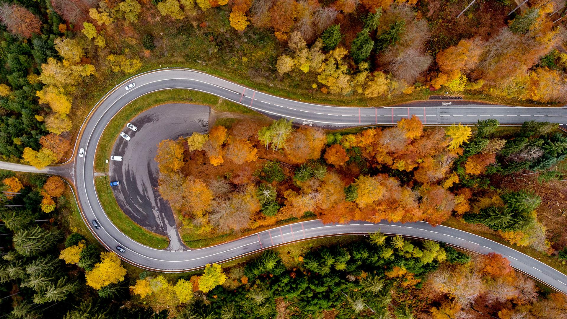 Colorful trees stand near a road through the Taunus region near Frankfurt, Oct. 2, 2021. More than 100 countries are pledging to end deforestation at COP26 in Glasgow.