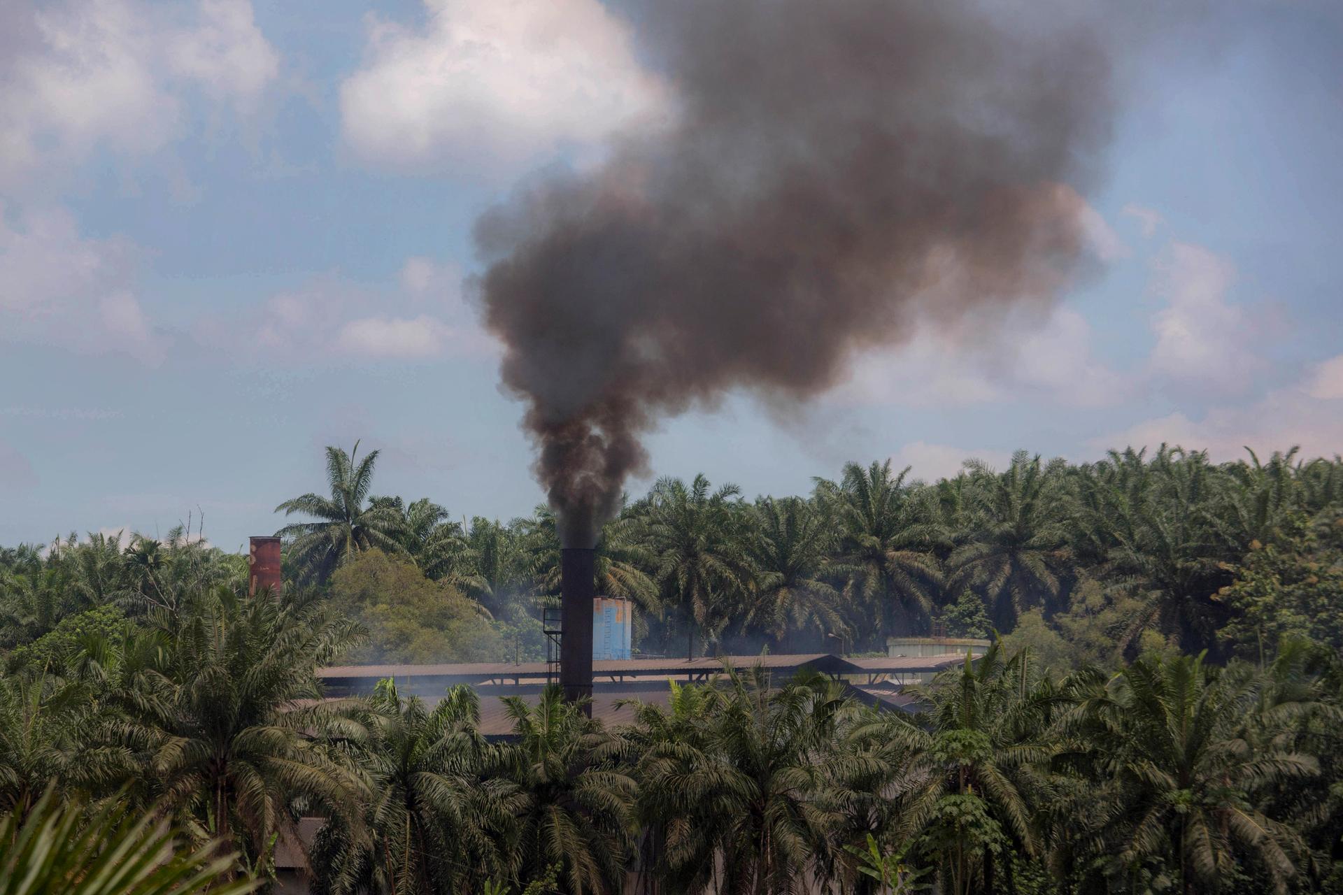 Smoke rises from a processing mill at a palm oil plantation in Sumatra, Indonesia